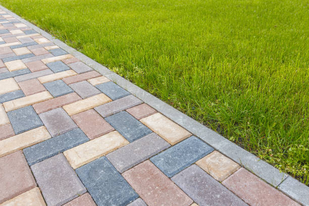 Best Driveway Paving Contractor  in Ramblewood, NJ